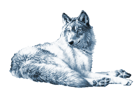 loup 28