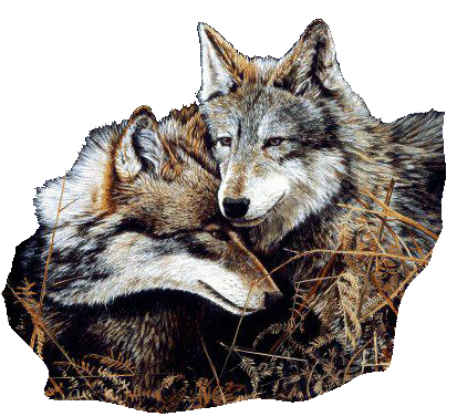 loup 29