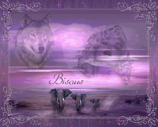 bisanim 03