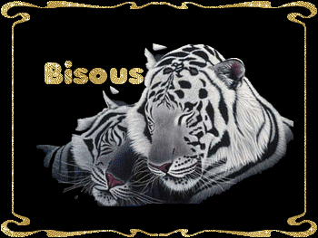 bisanim 20