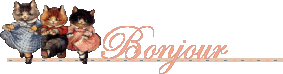 bonjanim 11