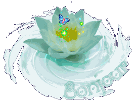 bonjfleur 17