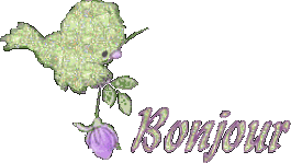 bonjfleur 18