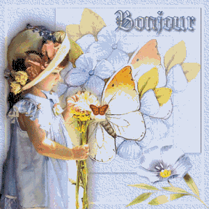 Bonjour 33