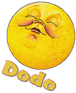 bonnuit 29