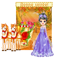 bonsoiree 24