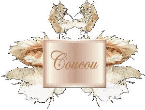 coucou 27