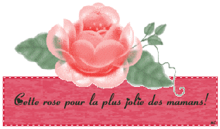 maman 20