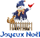 noel 14