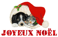 noel 20