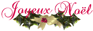 noel 031