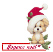 noel 54