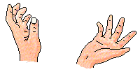 main 55