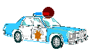 police 16