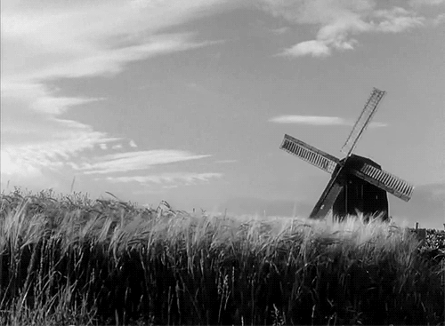 moulin 65