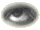 oeil 06