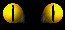 oeil 12