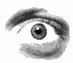 oeil 38