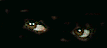 oeil 41
