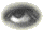 oeil 44