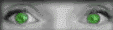 oeil 47