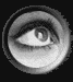 oeil 49