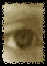 oeil 43