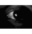 oeil 68