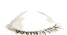 oeil 78