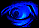 oeil 79