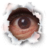 oeil 80