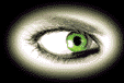 oeil 88