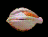 oeil 89