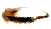 oeil 90
