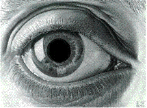 oeil 95