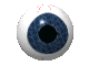 oeil 98