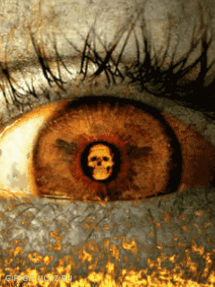 oeil 131