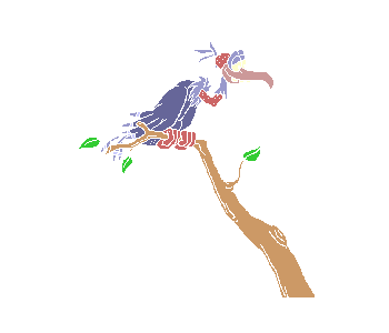 rapace 02