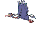rapace 08