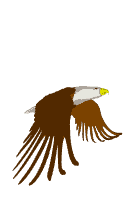 rapace 10
