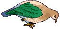 oiseau 25