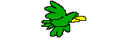 oiseau 39