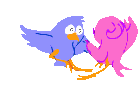 oiseau 40