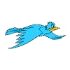 oiseau 43