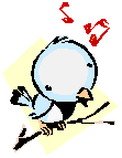oiseau 44