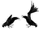 oiseau 65