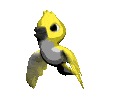 oiseau 66
