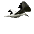 oiseau 75