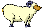 mouton 05