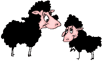 mouton 17